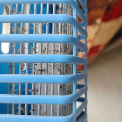 Socket Mosquito Repellant